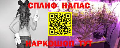 сатива Моздок