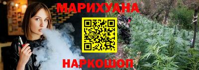 сатива Моздок