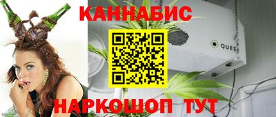 сатива Моздок