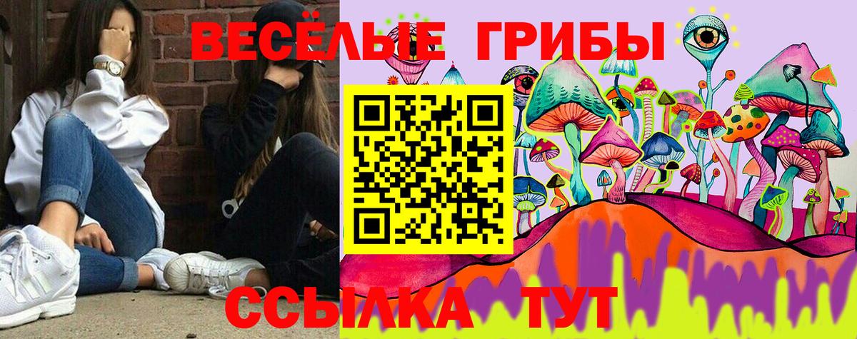 Галлюциногенные грибы мухоморы  Вход с VPN  Верхняя Салда  Псилоцибиновые грибы прущие грибы 