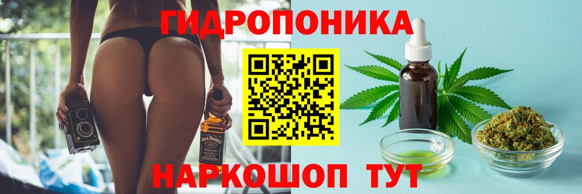 Конопля конопля  Канабис план  Вход с VPN  Верхняя Салда 